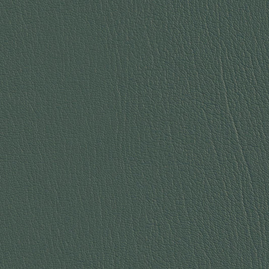 Colorguard Vizcaya Palm NFR 540826 full roll, dark teal leather-look vinyl.