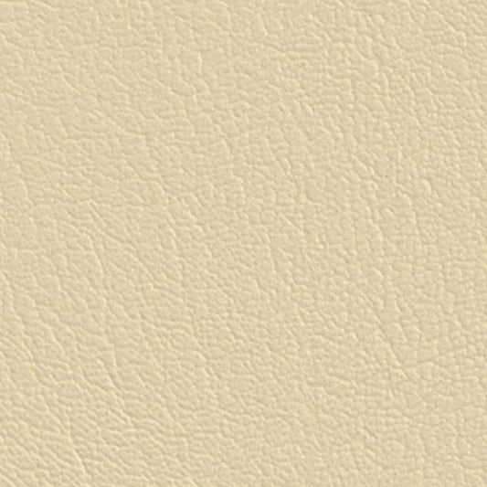 Colorguard Wheat NFR 543807 full roll of textured beige vinyl fabric