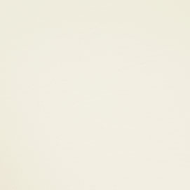 Biscayne White BI-102: Creamy off-white paint color swatch.
