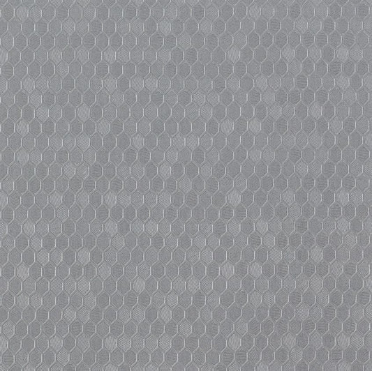 Hexx Silver HX965: Embossed gray hexagon pattern, textured surface.