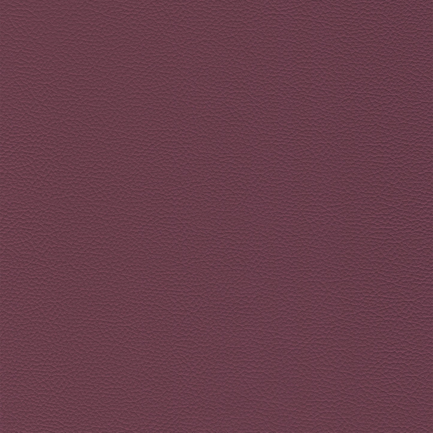 Sierra – 366 Violet