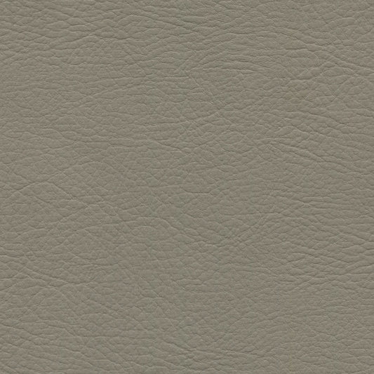 WHI2174 Whisper Neo Plus Pavestone textured gray vinyl sample.