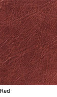 Concrete Red Premium Leather