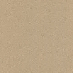 light_camel_medium.jpg?v=