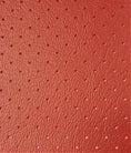 VLST-08P MONTICELLO RED PERFORATED VINYL