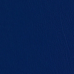 regalblue518705_medium.jpg?v=