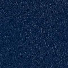 royalblue518796_medium.jpg?v=